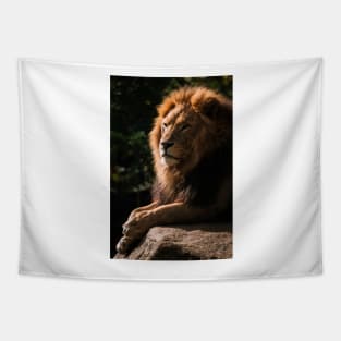 Lion - Animal Photography Tapestry