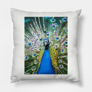 Magical Blue Peacock Pillow