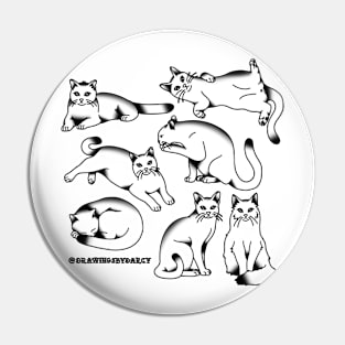 Kitty Pack Pin