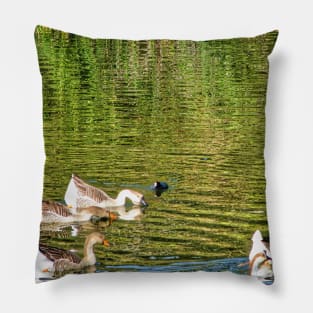 Reflections Pillow