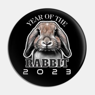 Year of the Rabbit 2023 Pin