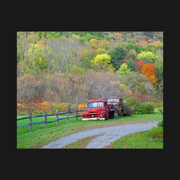 Bethel Vermont VT Old Rusted Trucks New England Foliage Aurumn Trees by WayneOxfordPh