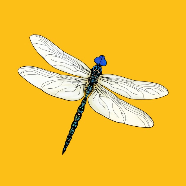 Dragonfly by Dingo Graphics