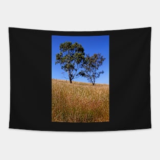 Australian Rural Scenic Tapestry