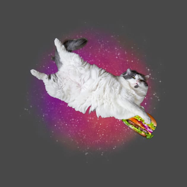 funny burger cat galaxy by UnikRay