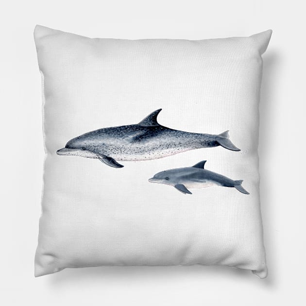 Atlantic spotted dolphin Pillow by chloeyzoard