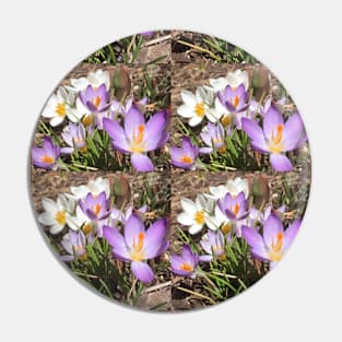 Assorted Crocuses Pin