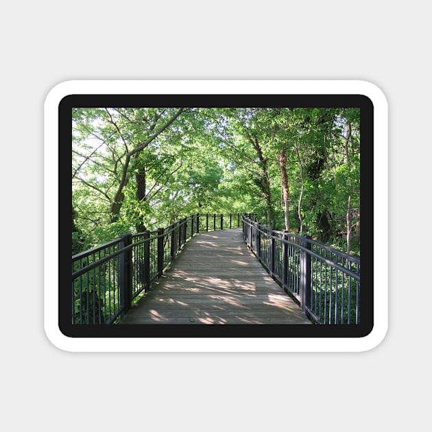 Walkway  through the woods Magnet by ToniaDelozier