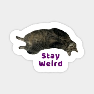 Stay Weird Kitty Magnet