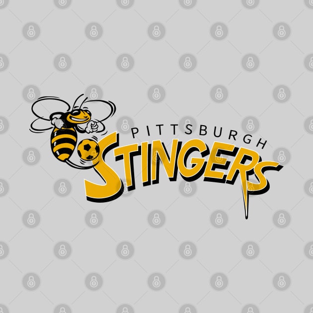 Defunct Pittsburgh Stingers Soccer 1994 by LocalZonly