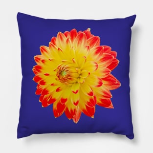 Red and Yellow dahlia Pillow