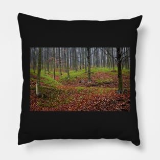 Enchanted forest in autumn Pillow