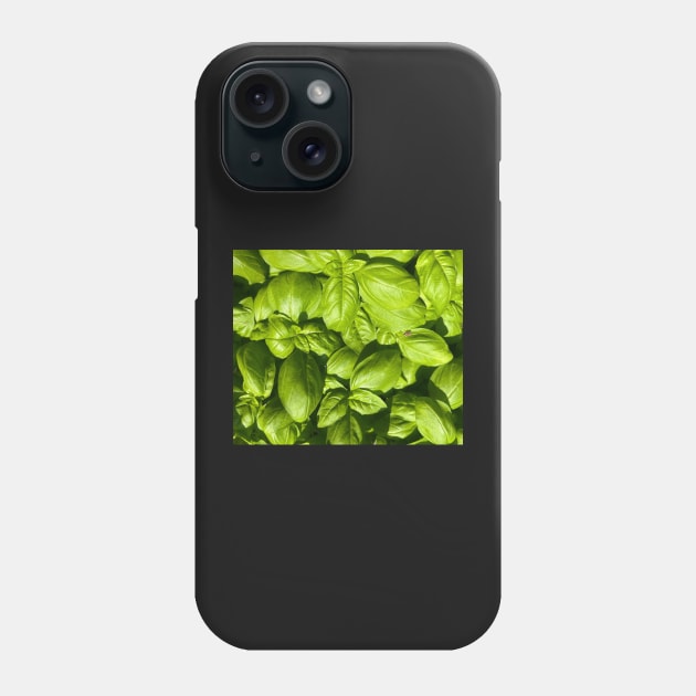 Basil for You! Phone Case by Photomersion