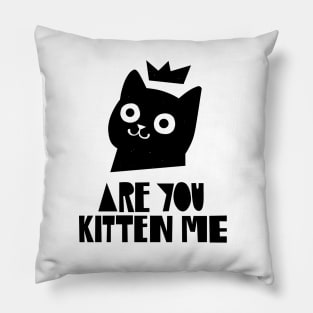 Are You Kitten Me Pillow