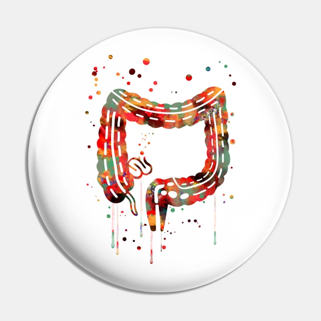 Lower gastrointestinal tract Pin by RosaliArt