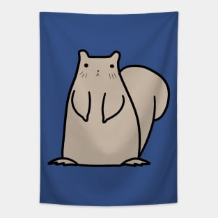 Gray Squirrel Tapestry