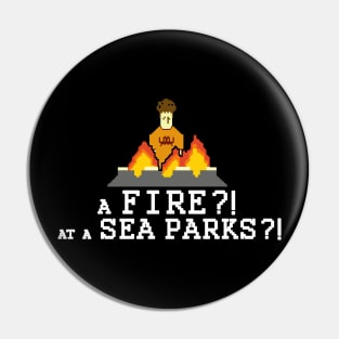 A Fire? At A Sea Parks? Pin