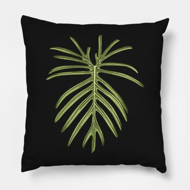 Philodendron Elegans Beauty Big Leaf Pillow by gronly