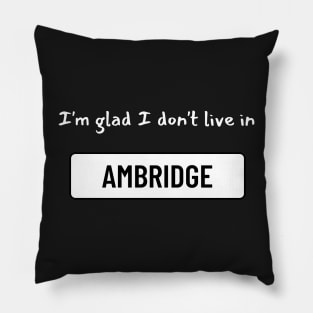 I'm glad I don't live in Ambridge Pillow