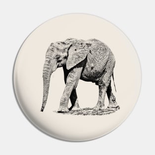 African elephant Pin