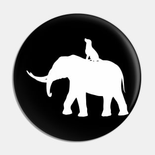 elephant and dog sitting x Pin