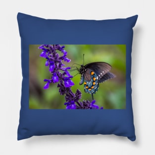 Pipevine Swallowtail Butterfly on Purple Flowers Pillow