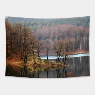 Aggertalsperre - Mirrowing Lake Autumn Colors Tapestry