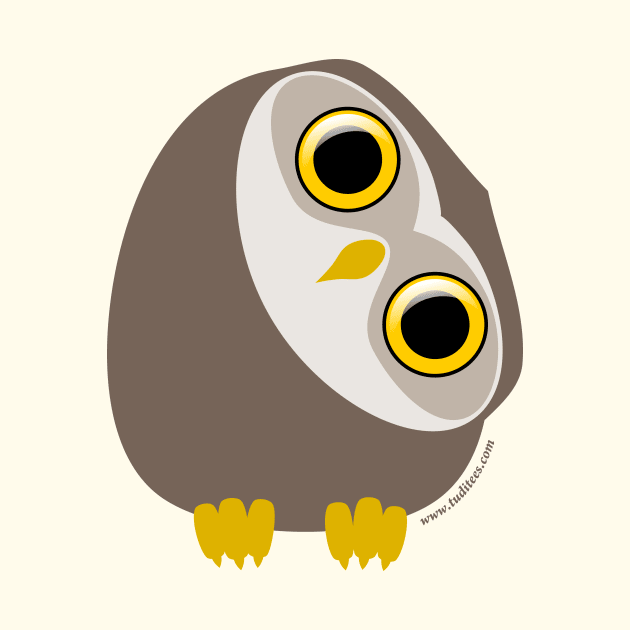 Curious little owl by tuditees