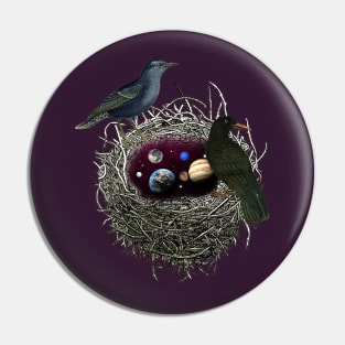 NEST Pin