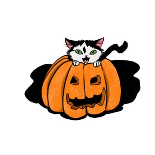 kitty with green eyes in pumpkin T-Shirt