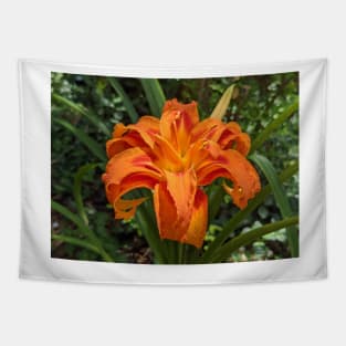 Orange Lily in the Sun Photographic Image Tapestry