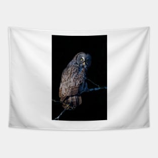 Spotlit - Great Grey Owl Tapestry