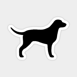 Curly Coated Retriever Silhouette Magnet