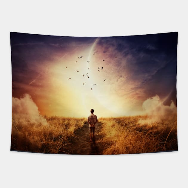 boy's cosmic walk Tapestry by psychoshadow