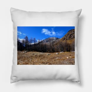 Bernina Pass Pillow