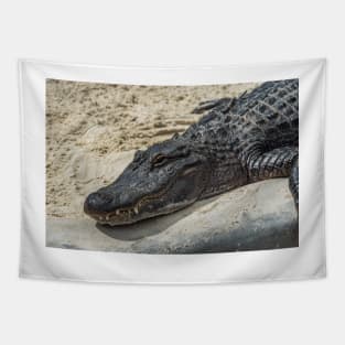 Relaxing Alligator Tapestry