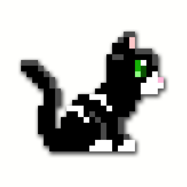 Invalid image