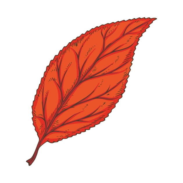 Beech Leaf by deepfuze