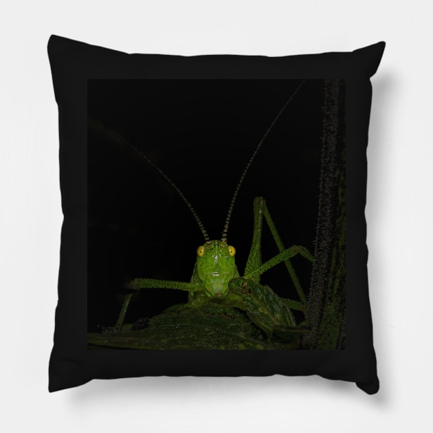 green grasshopper looks at someone creepy Pillow by Shadow3561