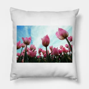 Pink Tulips Pillow