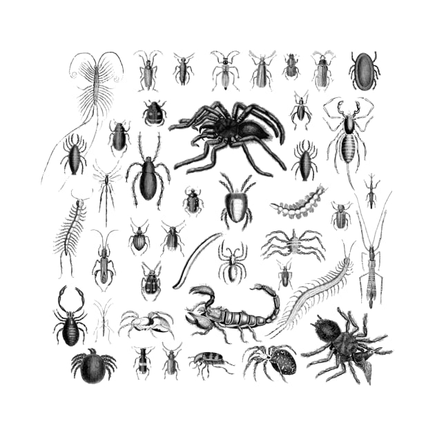 Goblincore Aesthetic Creepy Insects Entomology Entomophobia by Core Aesthetics