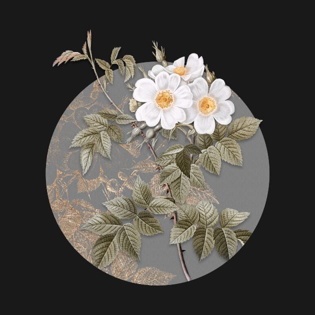 Vintage Blooming White Rosebush Botanical Illustration on Circle by Holy Rock Design