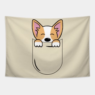 Corgi in a Pocket Tapestry