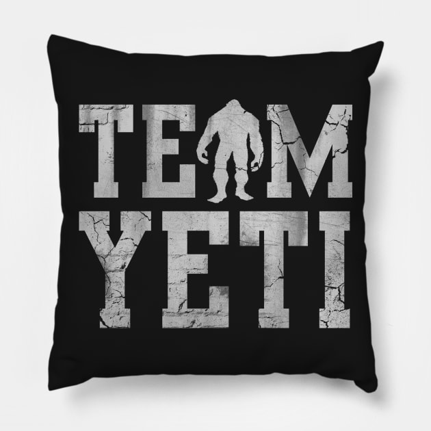 Team Yeti Pillow by E