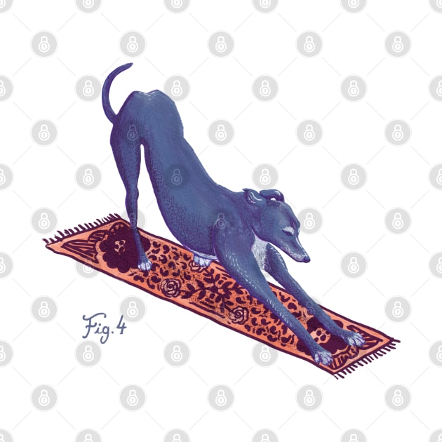 Downward Facing Greyhound by Nano Février