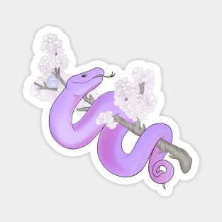 White Sakura Viper: Purple Magnet