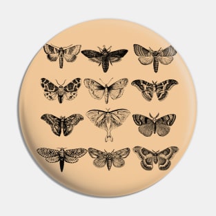 Moths Illustration Pin