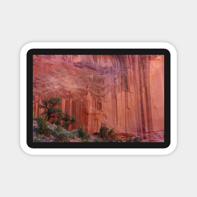 Texture and Grace ~ Capitol Reef, Utah USA Magnet by VKPelham