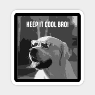 Dog-keep-it-cool-bro Magnet