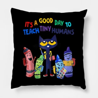 It's A Good Day To Teach Tiny Humans Funny Cat Teacher Lover Pillow